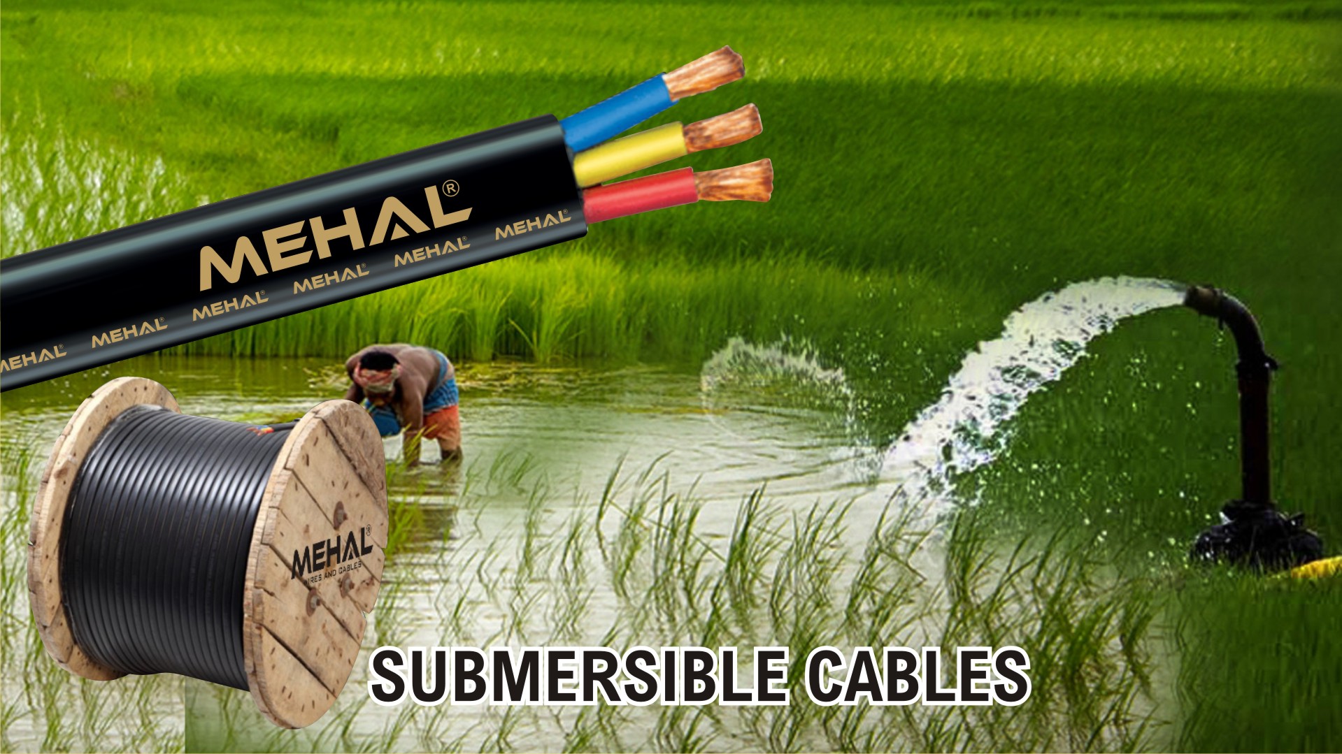 Mehal Banner 2